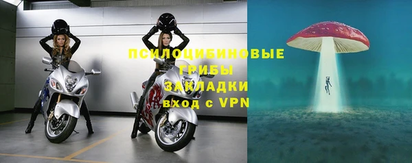spice Алзамай