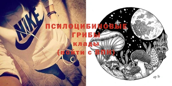 спиды Алексеевка