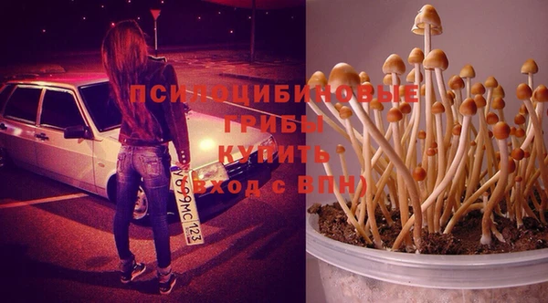 spice Алзамай