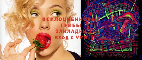 спиды Алексеевка