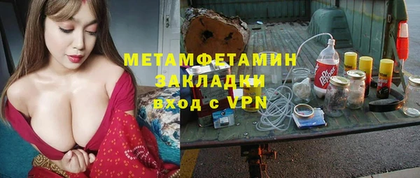 шишки Алексин
