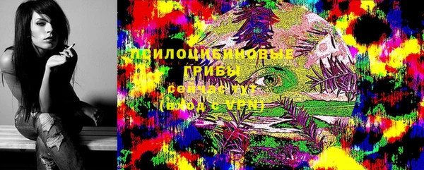 спиды Алексеевка