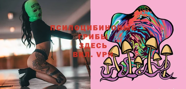 шишки Алексин