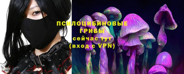 spice Алзамай