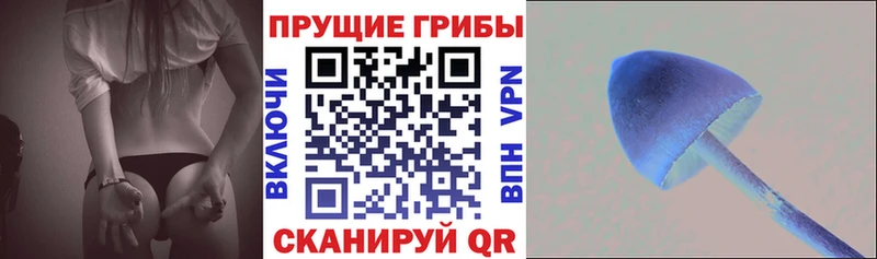 Псилоцибиновые грибы GOLDEN TEACHER закладка Новомосковск